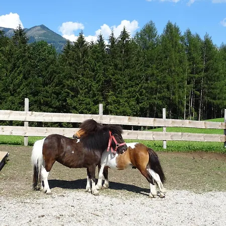 팜스테이 Bio Bauernhof Eggerhof 스트로블