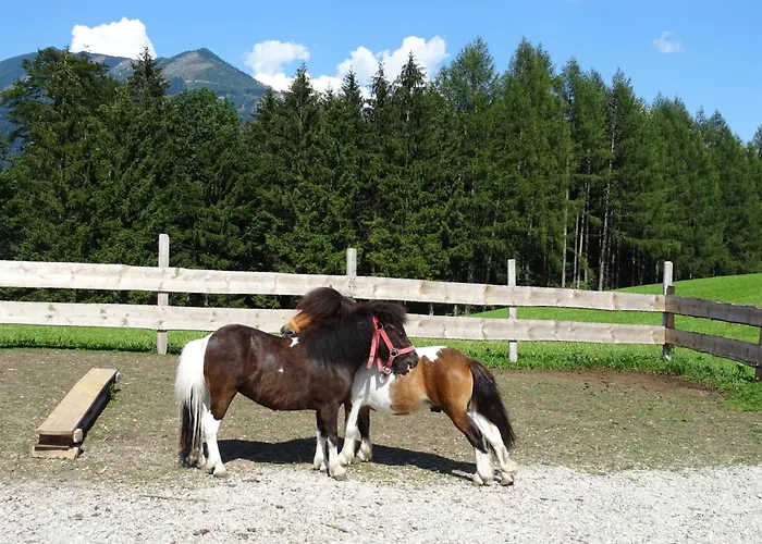 Κατάλυμα σε φάρμα Bio Bauernhof Eggerhof Strobl