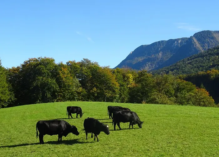 Bio Bauernhof Eggerhof *
